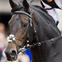 Main Sequence
