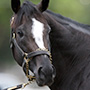 Main Sequence