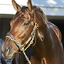 Main Sequence