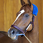 Untapable