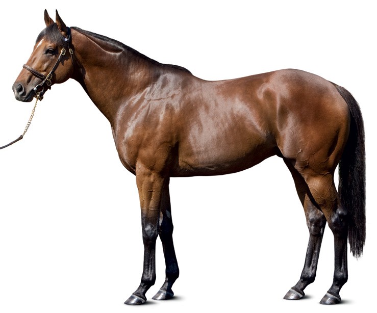 Hard Spun conformation photo