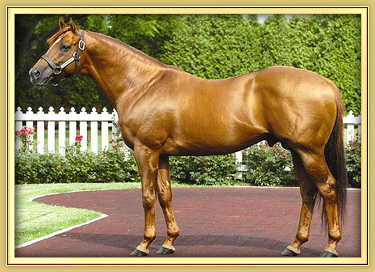 Wiseman's Ferry conformation